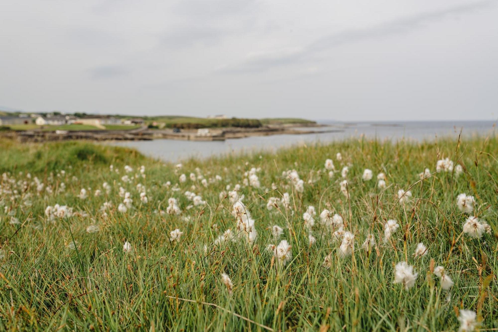 Creevy Cottages Rossnowlagh Dış mekan fotoğraf
