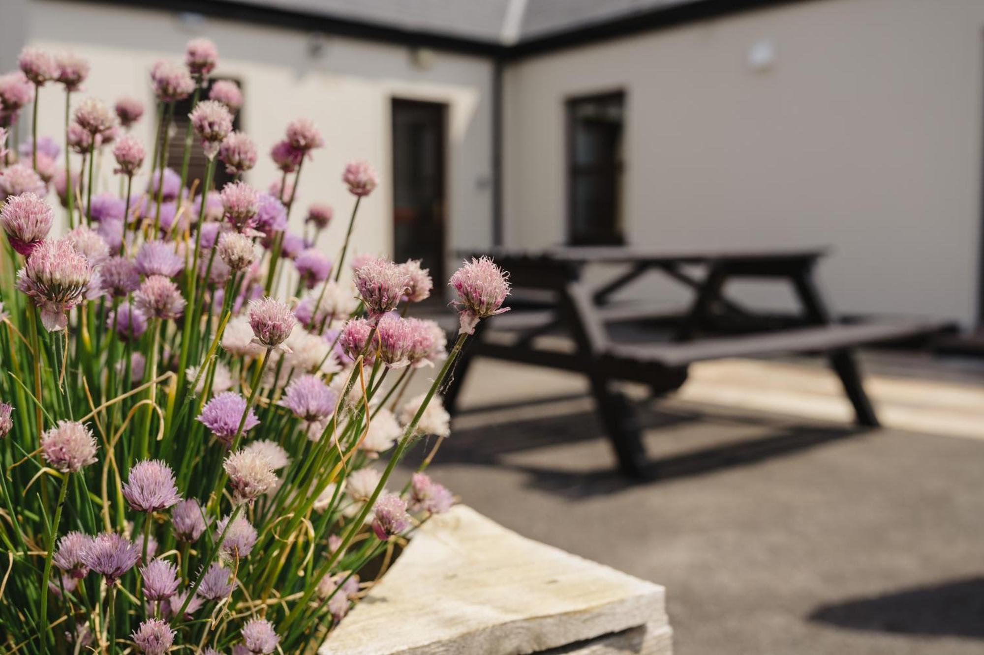 Creevy Cottages Rossnowlagh Dış mekan fotoğraf